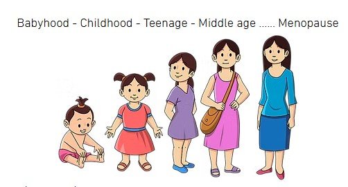 Menopause – A graceful pause